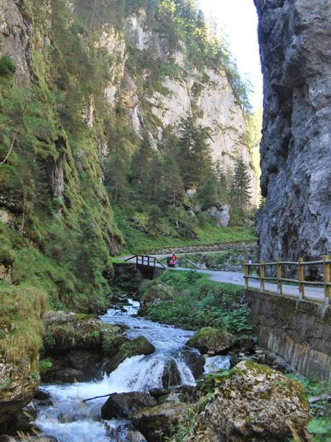Appartamenti Chalet Al Lago Alleghe Luaran gambar